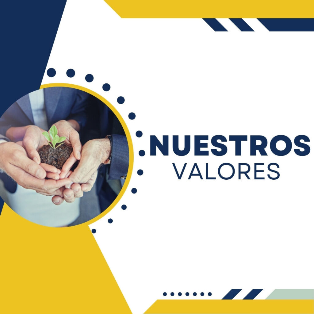 Valores DLF Montacargas